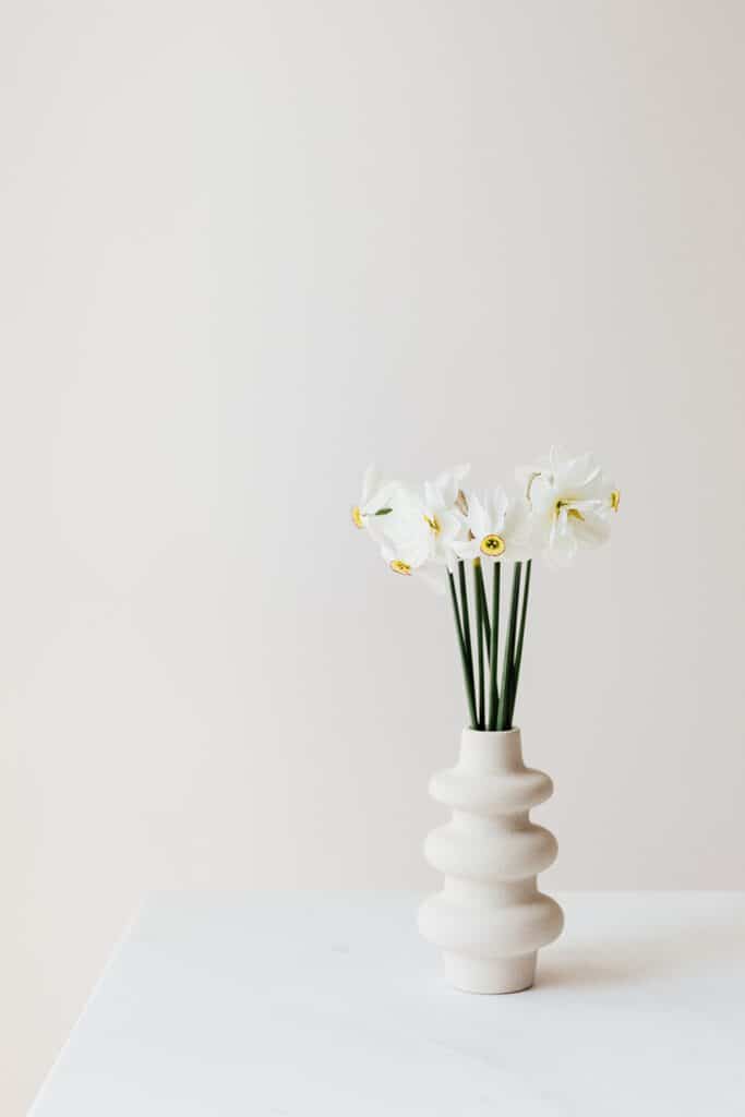 a white timeless flower vase with white flowers